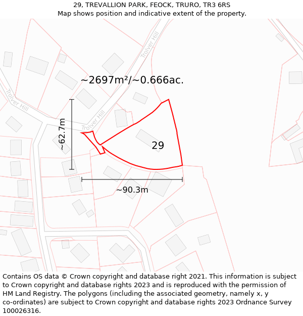 29, TREVALLION PARK, FEOCK, TRURO, TR3 6RS: Plot and title map