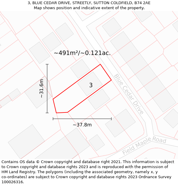 3, BLUE CEDAR DRIVE, STREETLY, SUTTON COLDFIELD, B74 2AE: Plot and title map