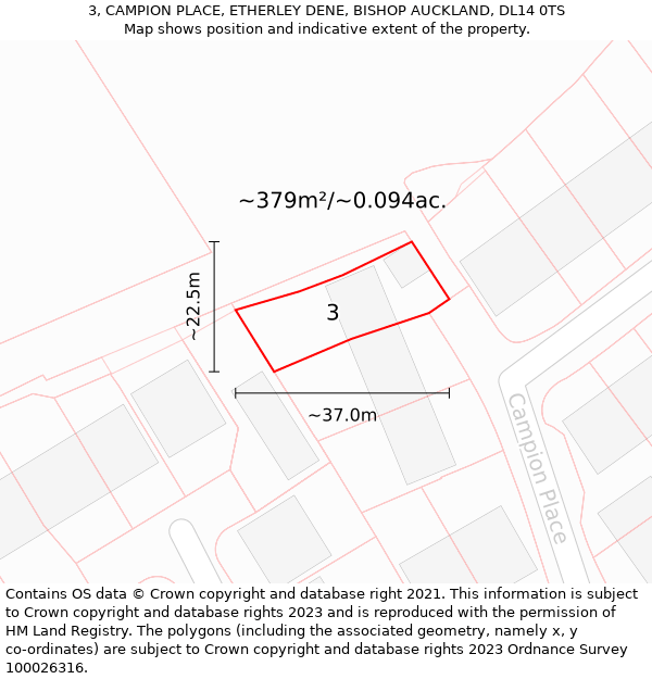 3, CAMPION PLACE, ETHERLEY DENE, BISHOP AUCKLAND, DL14 0TS: Plot and title map