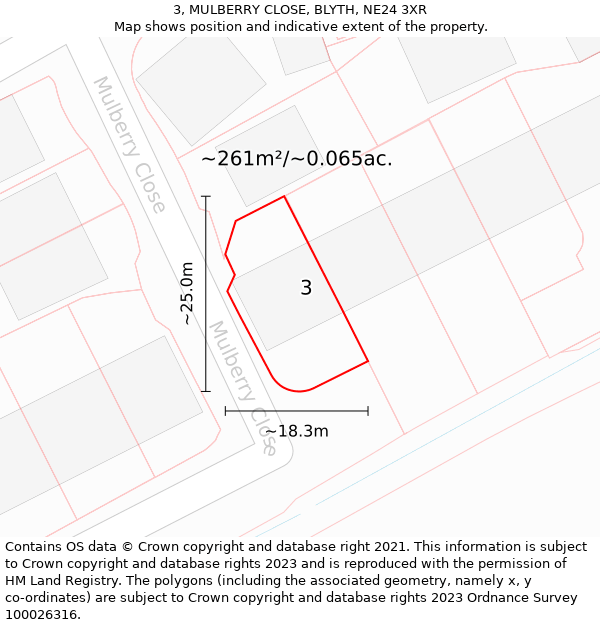 3, MULBERRY CLOSE, BLYTH, NE24 3XR: Plot and title map