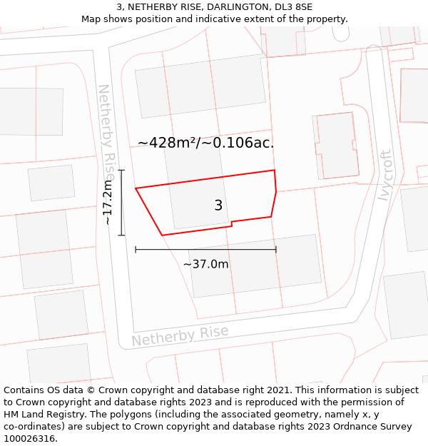 3, NETHERBY RISE, DARLINGTON, DL3 8SE: Plot and title map