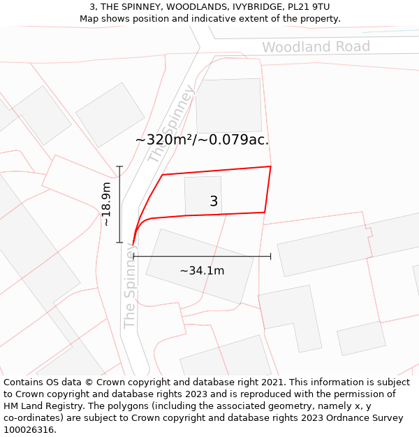 3, THE SPINNEY, WOODLANDS, IVYBRIDGE, PL21 9TU: Plot and title map