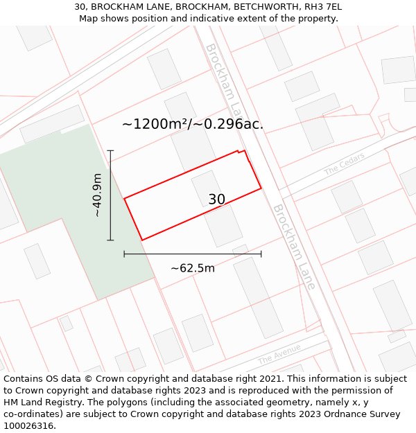 30, BROCKHAM LANE, BROCKHAM, BETCHWORTH, RH3 7EL: Plot and title map