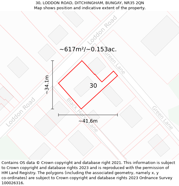 30, LODDON ROAD, DITCHINGHAM, BUNGAY, NR35 2QN: Plot and title map