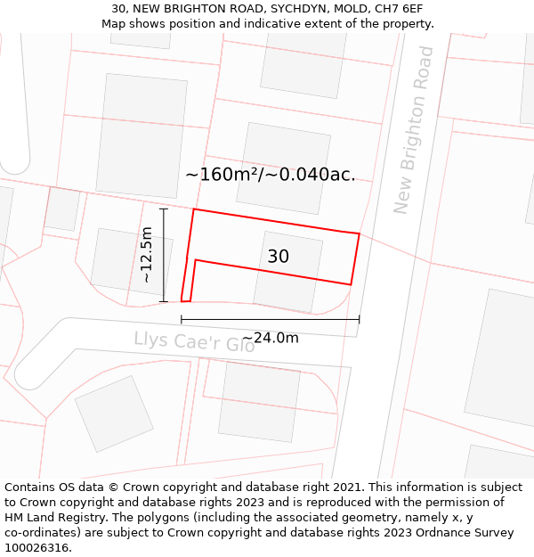 30, NEW BRIGHTON ROAD, SYCHDYN, MOLD, CH7 6EF: Plot and title map