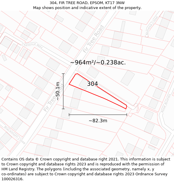 304, FIR TREE ROAD, EPSOM, KT17 3NW: Plot and title map