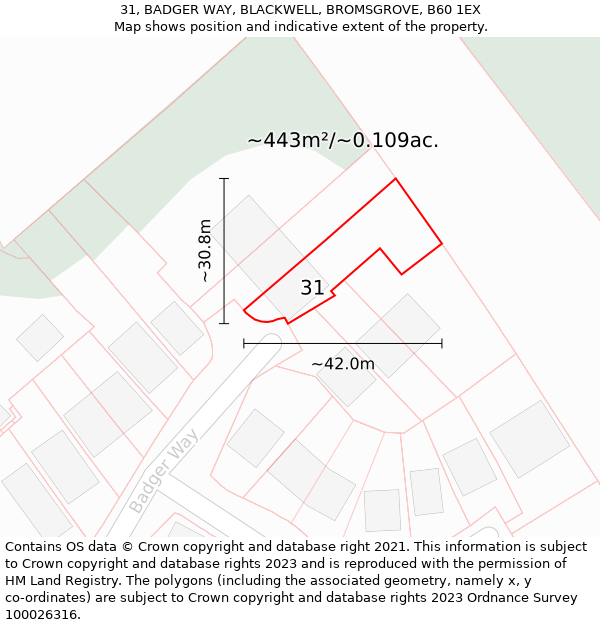 31, BADGER WAY, BLACKWELL, BROMSGROVE, B60 1EX: Plot and title map