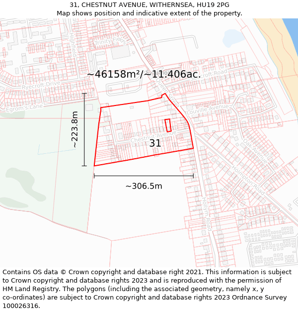 31, CHESTNUT AVENUE, WITHERNSEA, HU19 2PG: Plot and title map