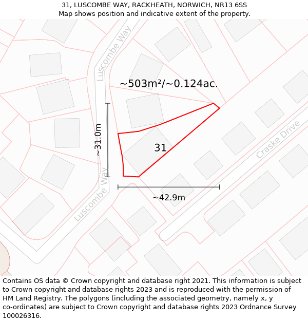 31, LUSCOMBE WAY, RACKHEATH, NORWICH, NR13 6SS: Plot and title map