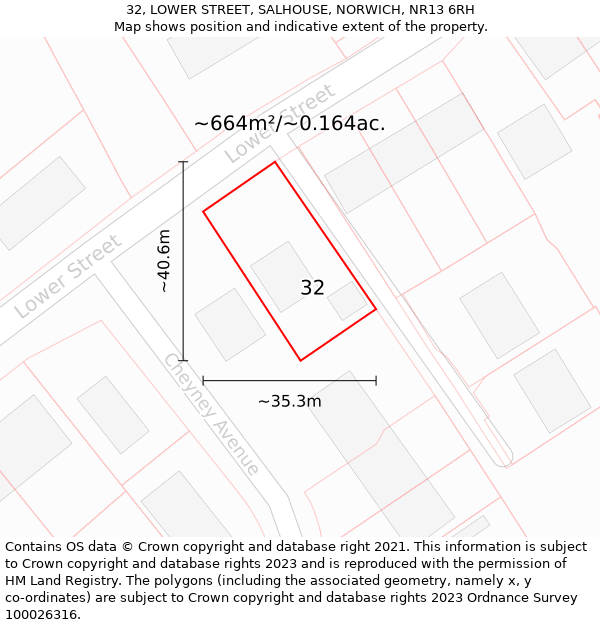 32, LOWER STREET, SALHOUSE, NORWICH, NR13 6RH: Plot and title map