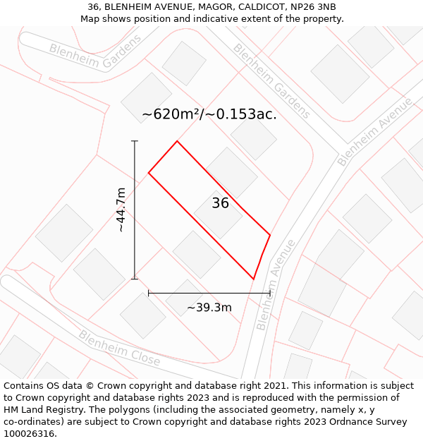 36, BLENHEIM AVENUE, MAGOR, CALDICOT, NP26 3NB: Plot and title map