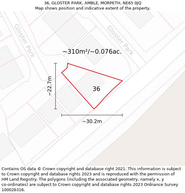 36, GLOSTER PARK, AMBLE, MORPETH, NE65 0JQ: Plot and title map