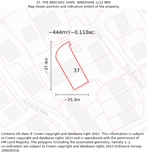 37, THE BEECHES, HOPE, WREXHAM, LL12 9NX: Plot and title map