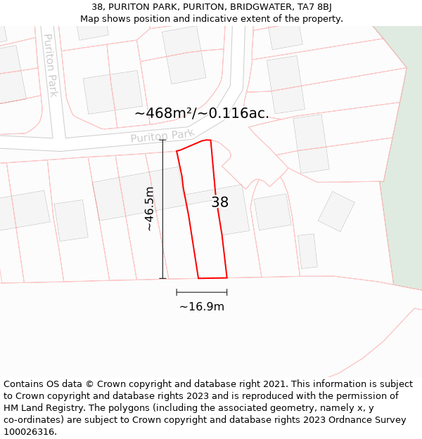 38, PURITON PARK, PURITON, BRIDGWATER, TA7 8BJ: Plot and title map