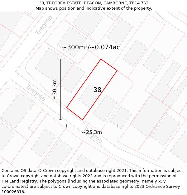 38, TREGREA ESTATE, BEACON, CAMBORNE, TR14 7ST: Plot and title map