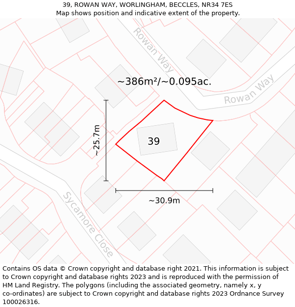 39, ROWAN WAY, WORLINGHAM, BECCLES, NR34 7ES: Plot and title map