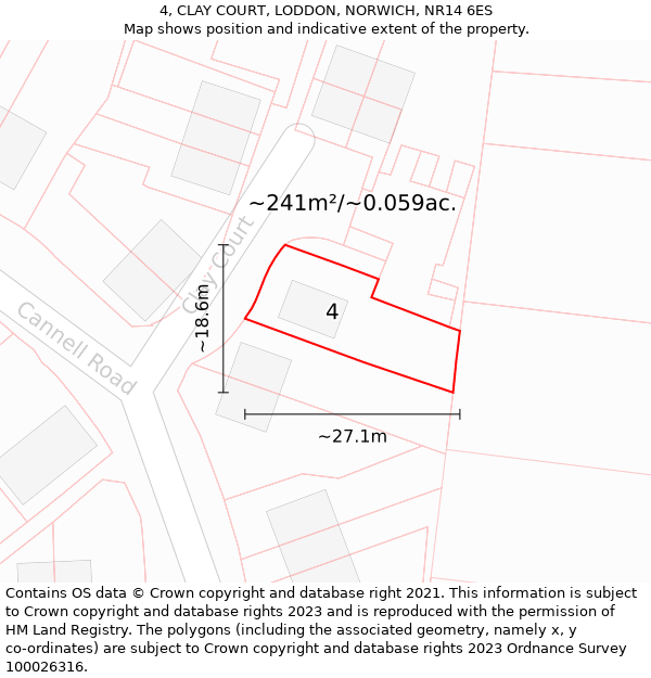 4, CLAY COURT, LODDON, NORWICH, NR14 6ES: Plot and title map