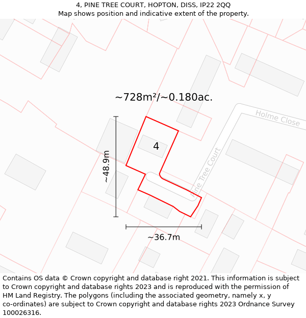 4, PINE TREE COURT, HOPTON, DISS, IP22 2QQ: Plot and title map