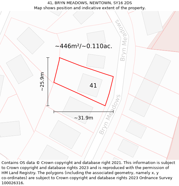 41, BRYN MEADOWS, NEWTOWN, SY16 2DS: Plot and title map