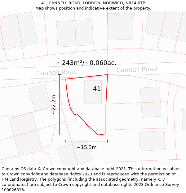 41, CANNELL ROAD, LODDON, NORWICH, NR14 6TP: Plot and title map