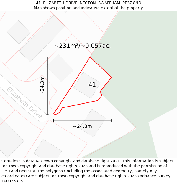 41, ELIZABETH DRIVE, NECTON, SWAFFHAM, PE37 8ND: Plot and title map