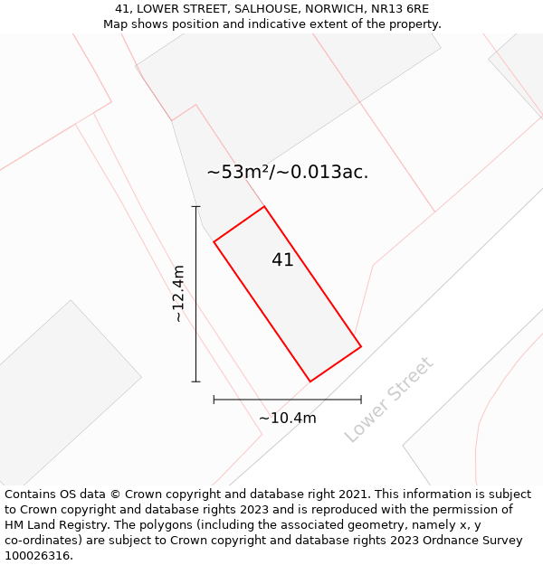 41, LOWER STREET, SALHOUSE, NORWICH, NR13 6RE: Plot and title map