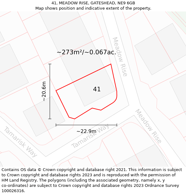 41, MEADOW RISE, GATESHEAD, NE9 6GB: Plot and title map