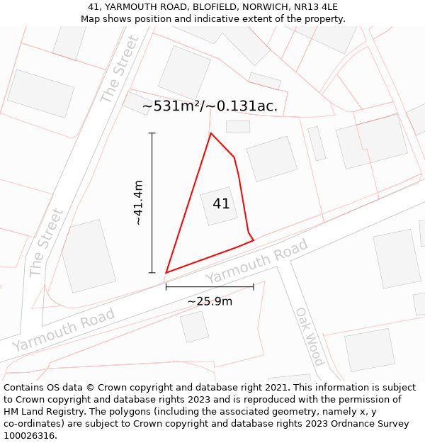 41, YARMOUTH ROAD, BLOFIELD, NORWICH, NR13 4LE: Plot and title map