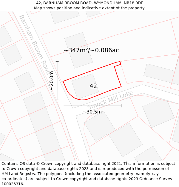 42, BARNHAM BROOM ROAD, WYMONDHAM, NR18 0DF: Plot and title map