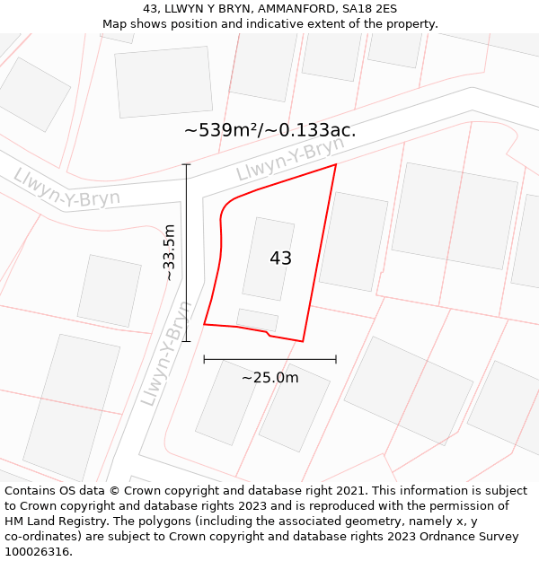 43, LLWYN Y BRYN, AMMANFORD, SA18 2ES: Plot and title map