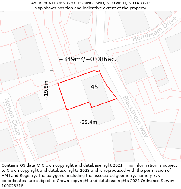 45, BLACKTHORN WAY, PORINGLAND, NORWICH, NR14 7WD: Plot and title map