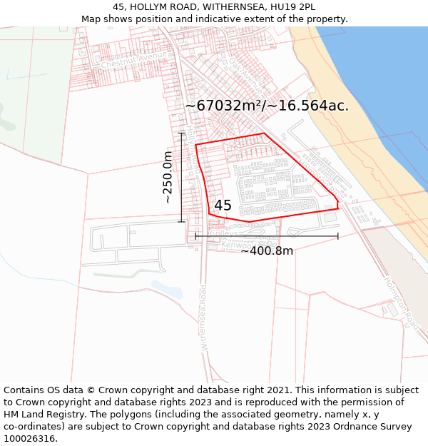 45, HOLLYM ROAD, WITHERNSEA, HU19 2PL: Plot and title map
