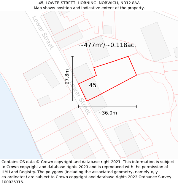 45, LOWER STREET, HORNING, NORWICH, NR12 8AA: Plot and title map