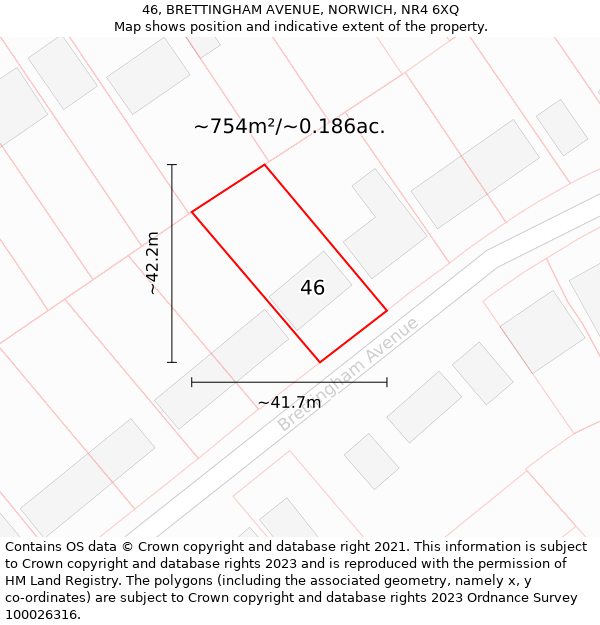 46, BRETTINGHAM AVENUE, NORWICH, NR4 6XQ: Plot and title map