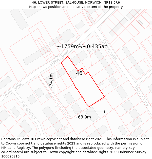 46, LOWER STREET, SALHOUSE, NORWICH, NR13 6RH: Plot and title map