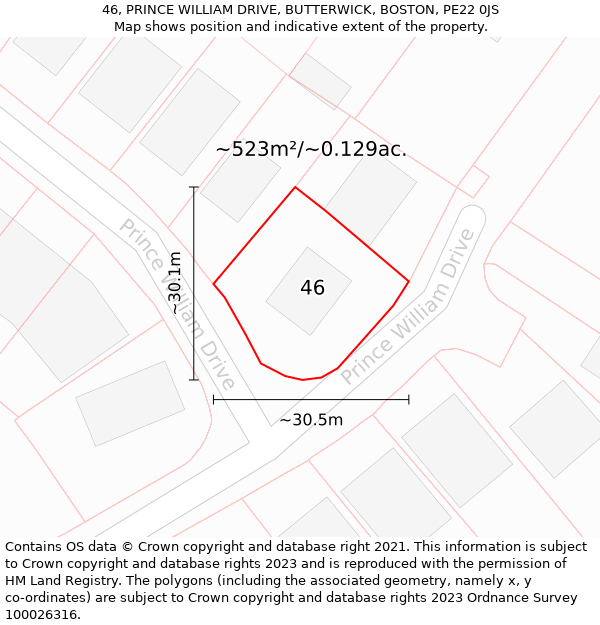 46, PRINCE WILLIAM DRIVE, BUTTERWICK, BOSTON, PE22 0JS: Plot and title map