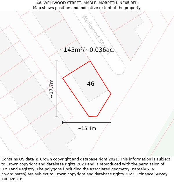 46, WELLWOOD STREET, AMBLE, MORPETH, NE65 0EL: Plot and title map