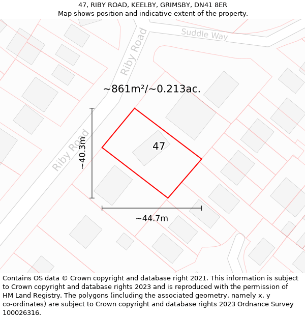 47, RIBY ROAD, KEELBY, GRIMSBY, DN41 8ER: Plot and title map