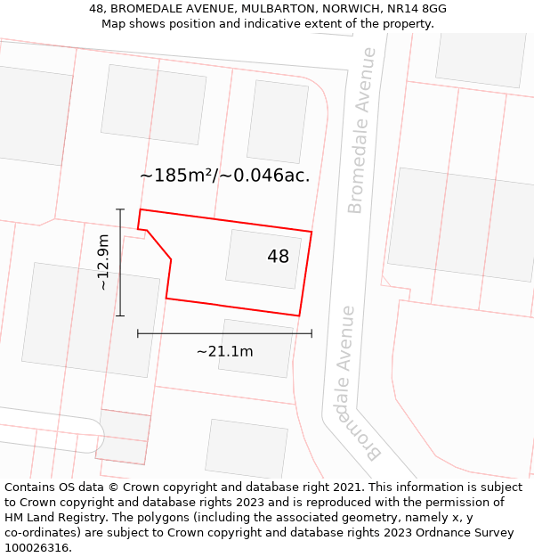 48, BROMEDALE AVENUE, MULBARTON, NORWICH, NR14 8GG: Plot and title map