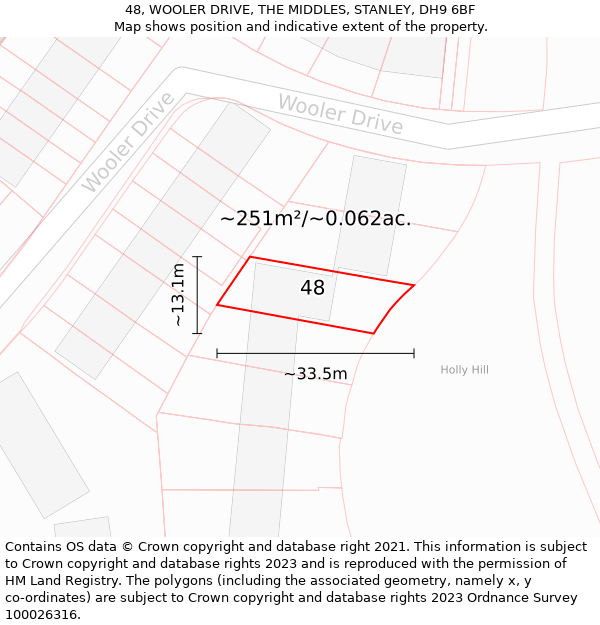 48, WOOLER DRIVE, THE MIDDLES, STANLEY, DH9 6BF: Plot and title map