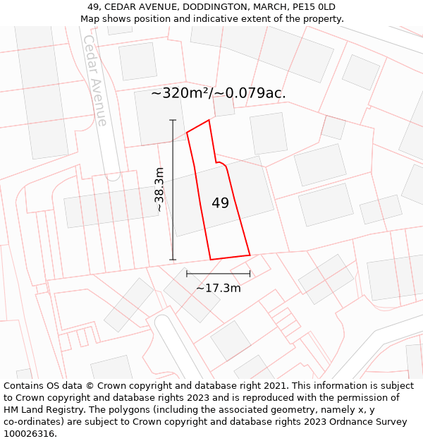 49, CEDAR AVENUE, DODDINGTON, MARCH, PE15 0LD: Plot and title map