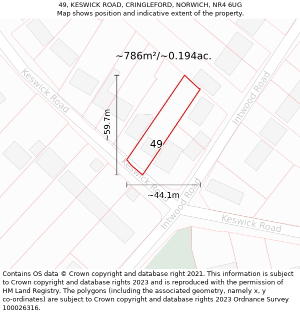 49, KESWICK ROAD, CRINGLEFORD, NORWICH, NR4 6UG: Plot and title map