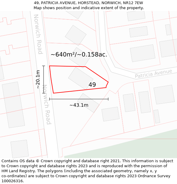 49, PATRICIA AVENUE, HORSTEAD, NORWICH, NR12 7EW: Plot and title map