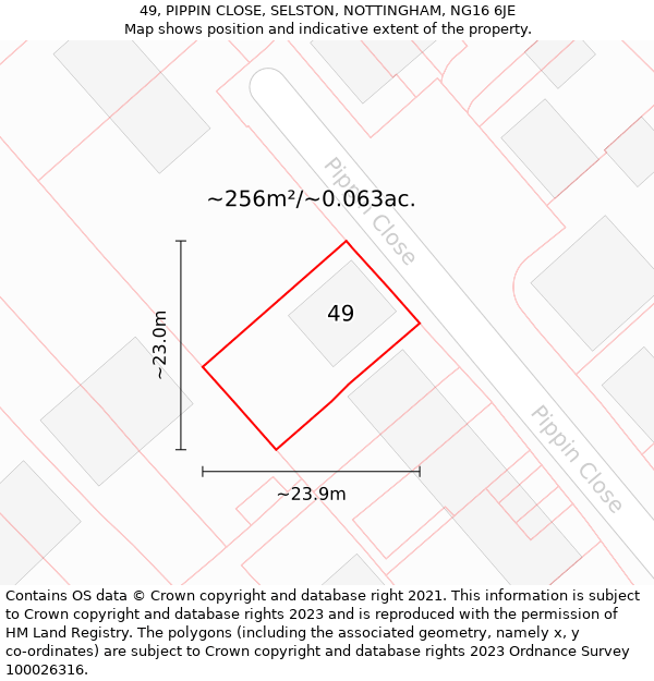 49, PIPPIN CLOSE, SELSTON, NOTTINGHAM, NG16 6JE: Plot and title map