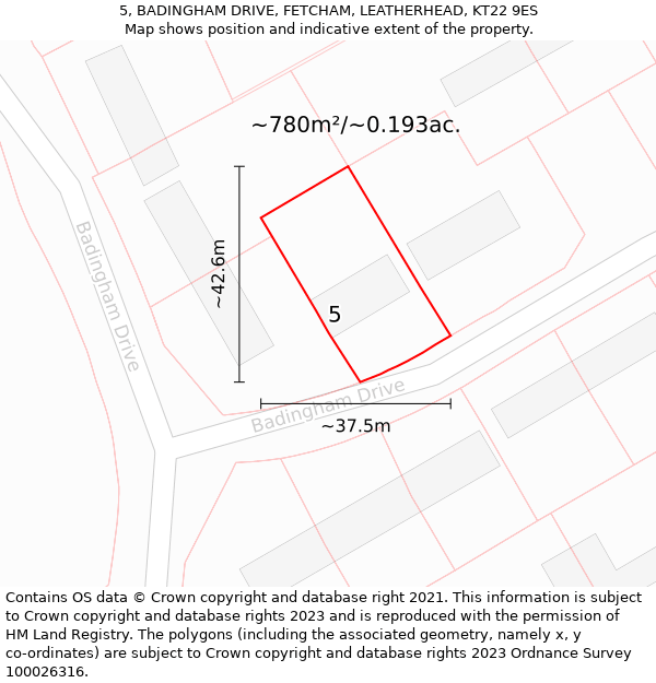 5, BADINGHAM DRIVE, FETCHAM, LEATHERHEAD, KT22 9ES: Plot and title map