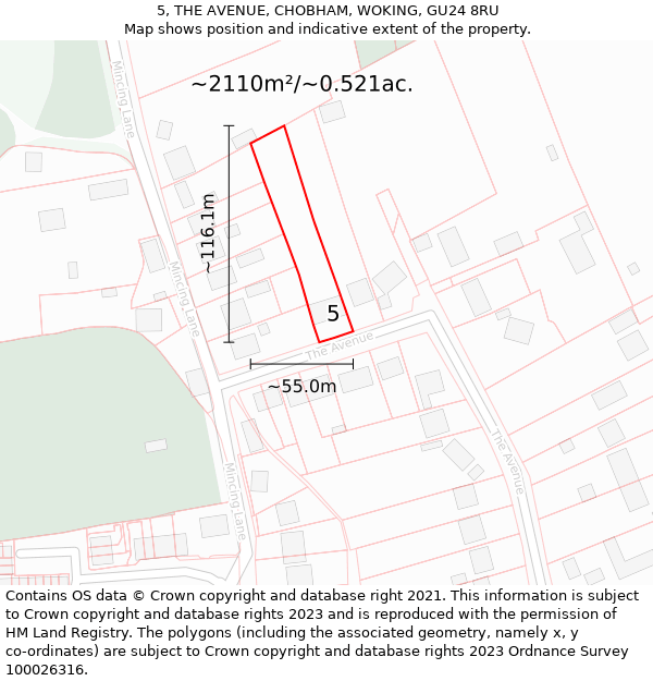 5, THE AVENUE, CHOBHAM, WOKING, GU24 8RU: Plot and title map