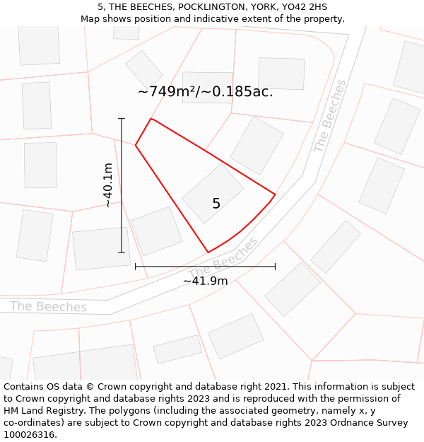 5, THE BEECHES, POCKLINGTON, YORK, YO42 2HS: Plot and title map