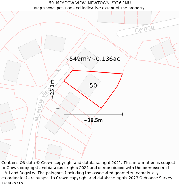 50, MEADOW VIEW, NEWTOWN, SY16 1NU: Plot and title map