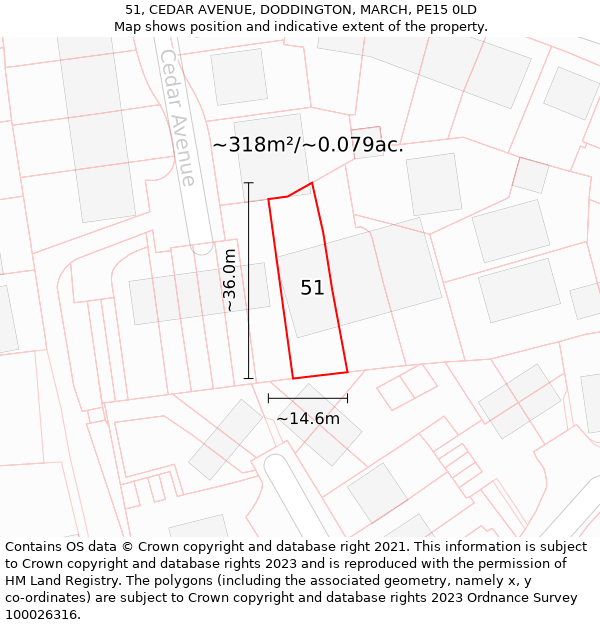 51, CEDAR AVENUE, DODDINGTON, MARCH, PE15 0LD: Plot and title map