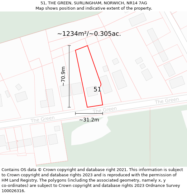 51, THE GREEN, SURLINGHAM, NORWICH, NR14 7AG: Plot and title map